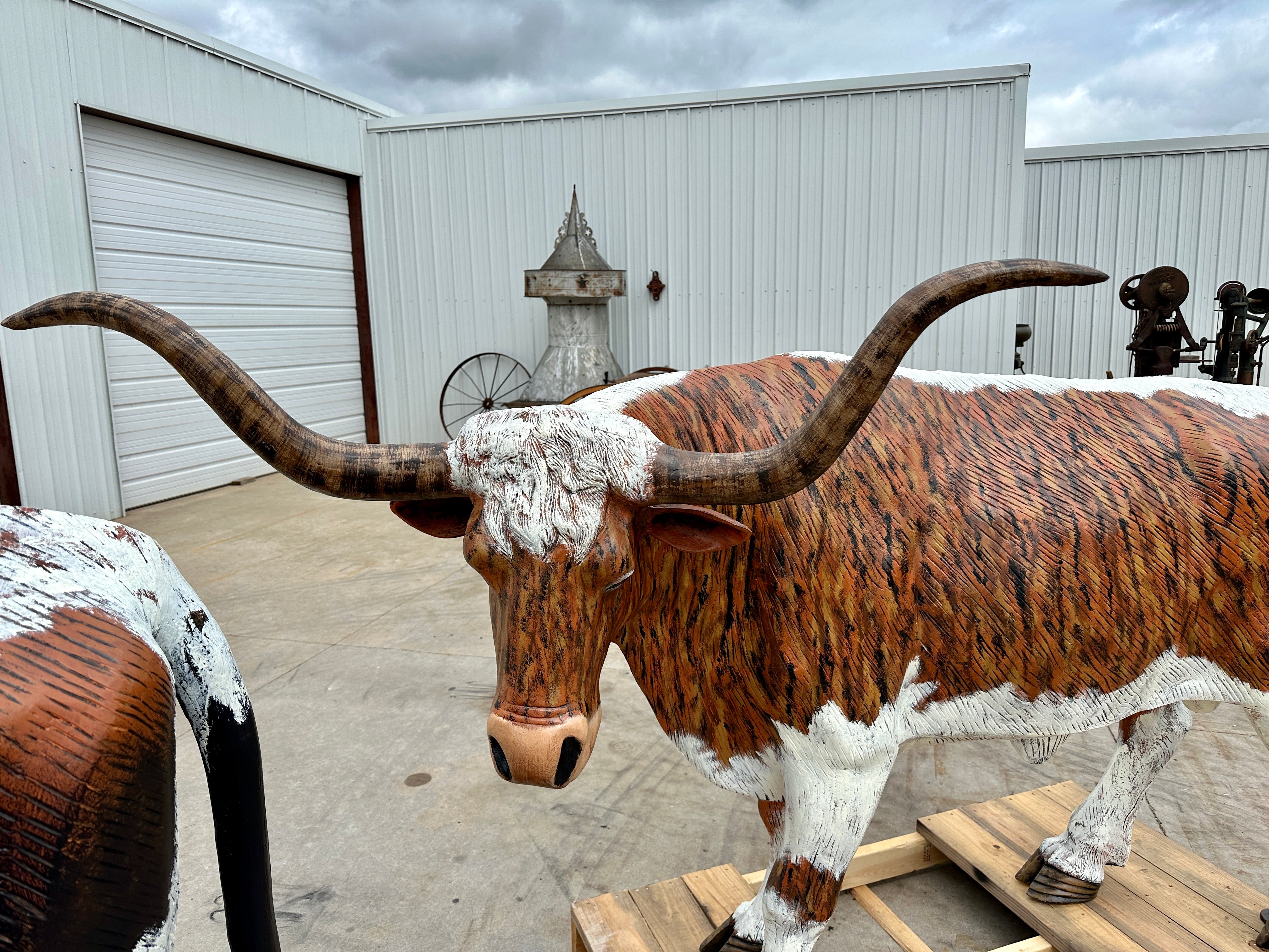 SOLD*Life Size Longhorn Statue #6